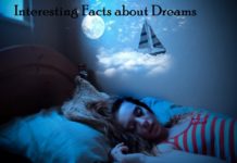 amazing rare bizarre facts about dreams