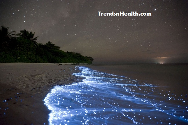 Shimmering glimmering shores of Vaadhoo, Maldives